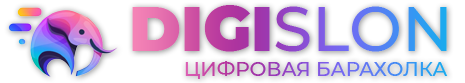 логотип площадки по продаже цифрового товара DigiSlon